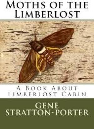 Moths of the Limberlost A Book About Limberlost Cabin